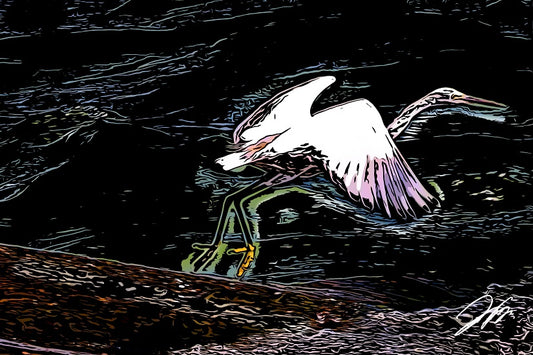 Comic Poster: The White Crane